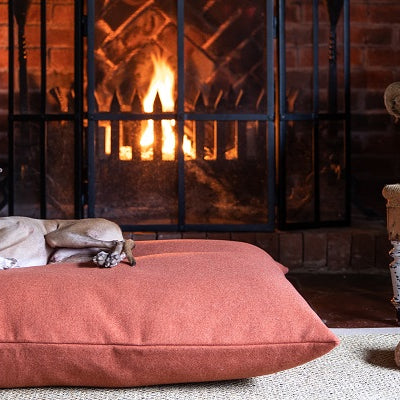 Accept Only The Best Bed For Your Dog This Winter