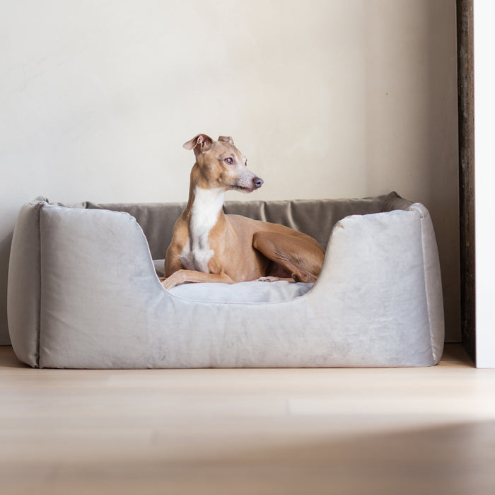 Design that stands the test of time: celebrating 10 years of the Deeply Dishy Dog Bed