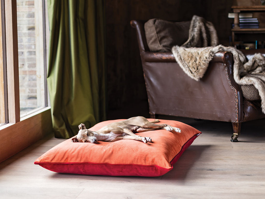 Charley Chau luxury dog bed mattress in velour tangerine and claret