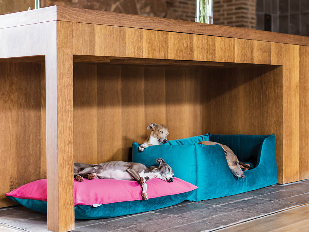 Charley Chau luxury dog bed collection - dog bed in velour teal and pink