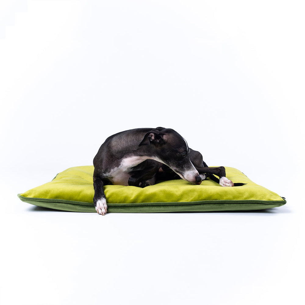 Charley Chau Luxury Dog Travel Pad in Velvet Velour