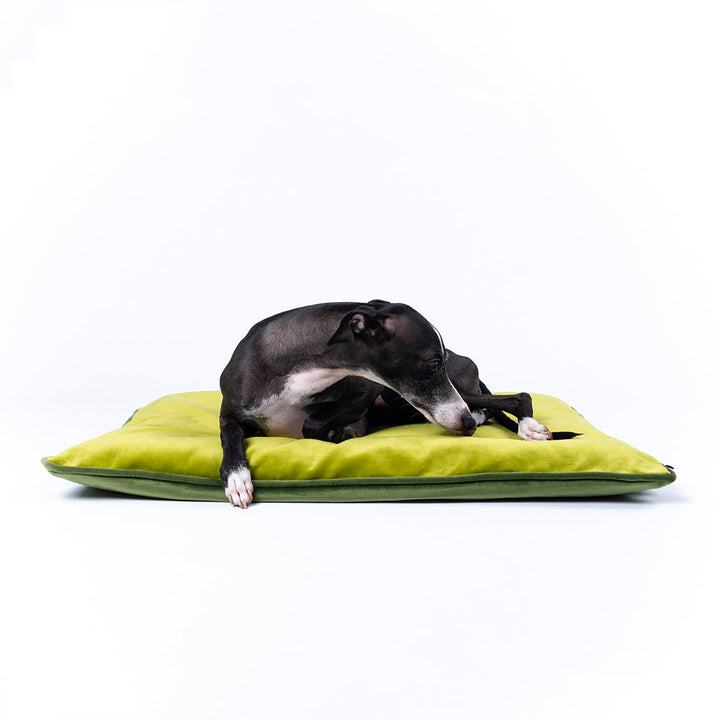 Charley Chau Luxury Dog Travel Pad in Velvet Velour