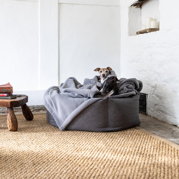 Charley Chau Luxury Double Fleece Dog Blanket