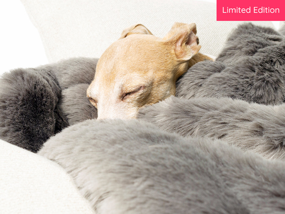 Faux-Fur Dog Blanket in Minky Grey