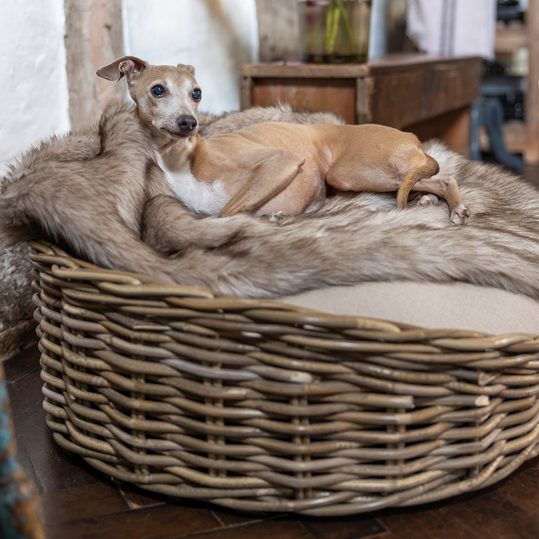 Charley Chau Oval Greywash Rattan Dog Basket and Mattress Set