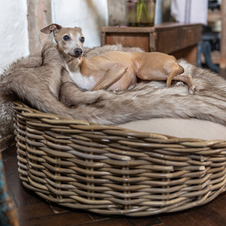 Charley Chau Oval Greywash Rattan Dog Basket and Mattress Set