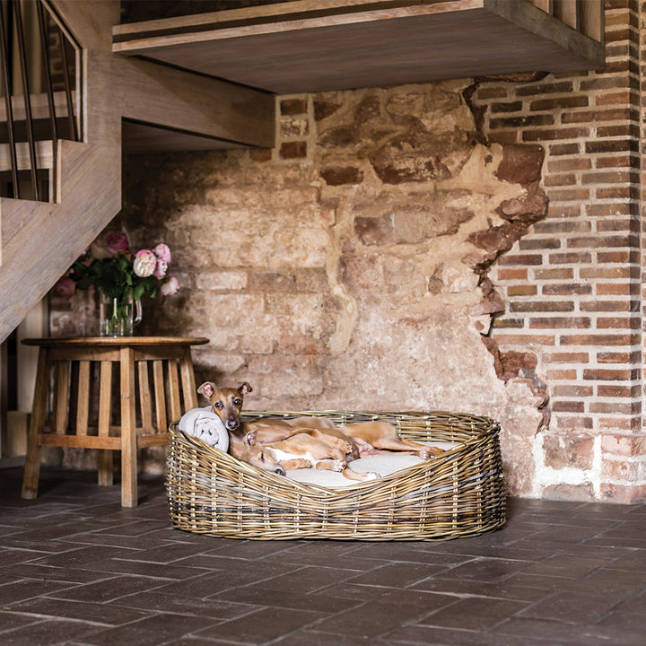 Charley Chau Oval Greywash Rattan Dog Basket and Mattress Set