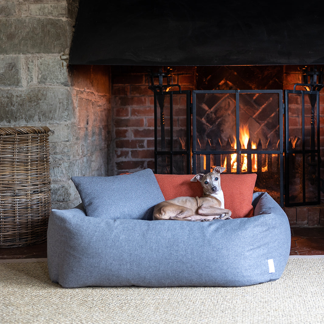 Bliss Bolster Dog Bed with Anti-Microbial Memory Foam Mattress