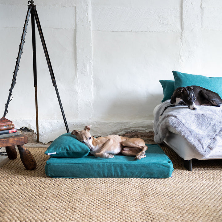 Luxury Memory Foam Dog Bed Mattress by Charley Chau