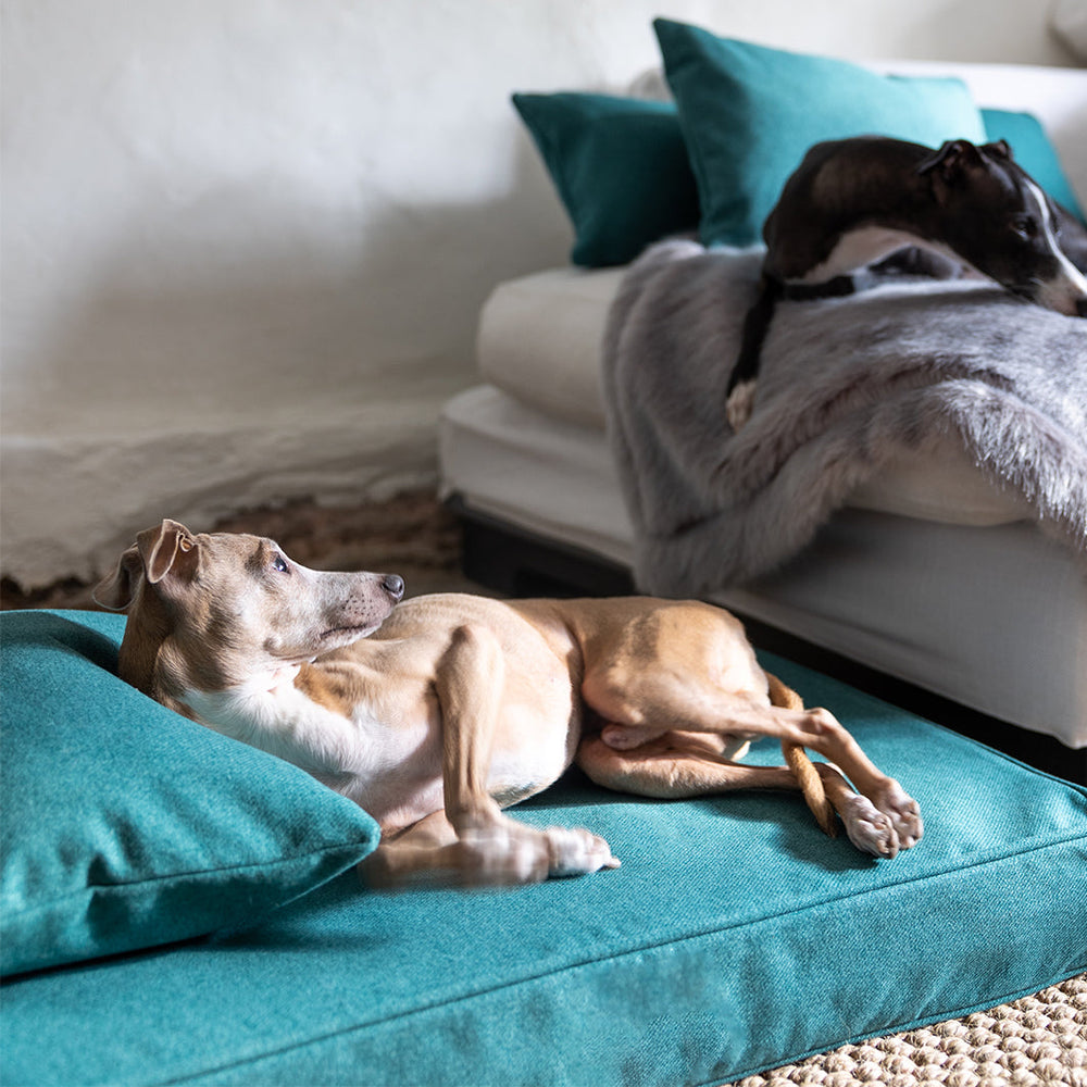 Luxury Memory Foam Dog Bed Mattress by Charley Chau