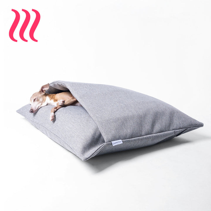 Italian Greyhound dog sleeping in a sleeping bag style luxury dog snuggle bed in a heron grey colour on a white background.