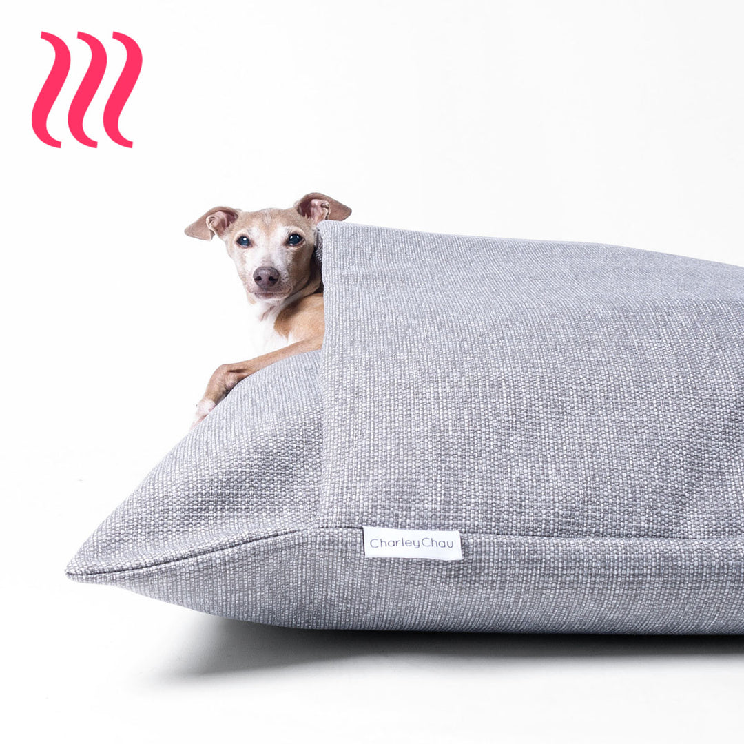 Italian Greyhound dog peeking out of a a sleeping bag style luxury dog snuggle bed in a heron grey colour on a white background.