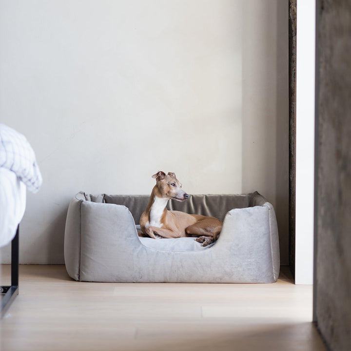 Deeply Dishy Luxury Dog Bed in Velvety Velour