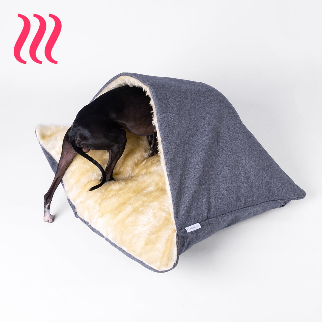 Black Italian Greyhound dog climbing into a luxury Dog Snuggle Bed, a sleeping bag style dog bed, with the outer cover in a dark grey and cream faux-fur on the inside of the bed, on a white background.