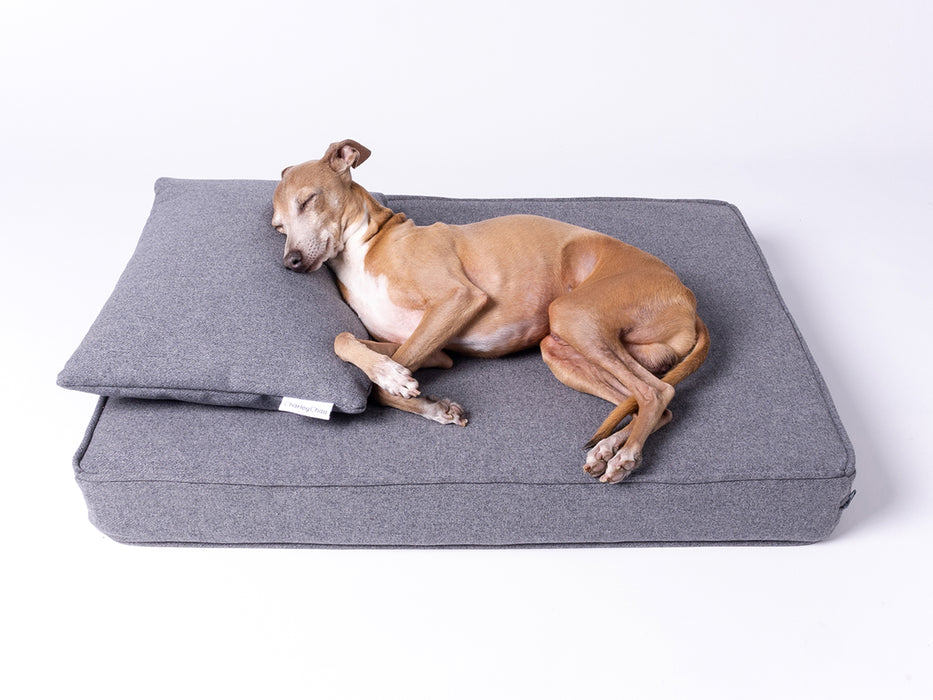 Charley Chau Memory Foam Dog Bed with anti-microbial mattress protector