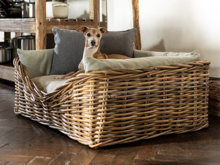 Luxury Rattan Dog Basket with mattress and bed bumpers