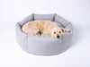 Charley Chau Ducky Donut Dog Bed in China Gray with Alfie, Labradoodle in the large size dog bed