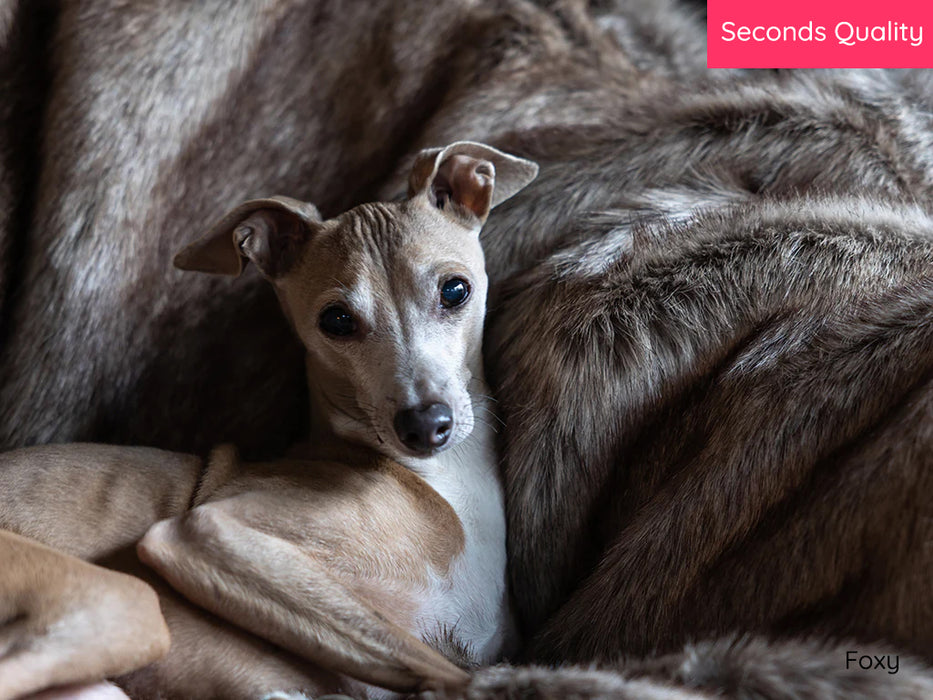 Seconds Quality: Faux-Fur Dog Blanket - Medium - Foxy