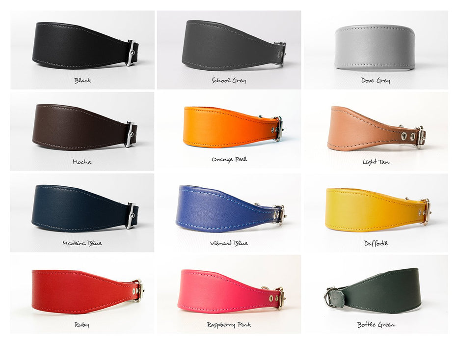 Bespoke leather greyhound collars in twelve gorgeous colours