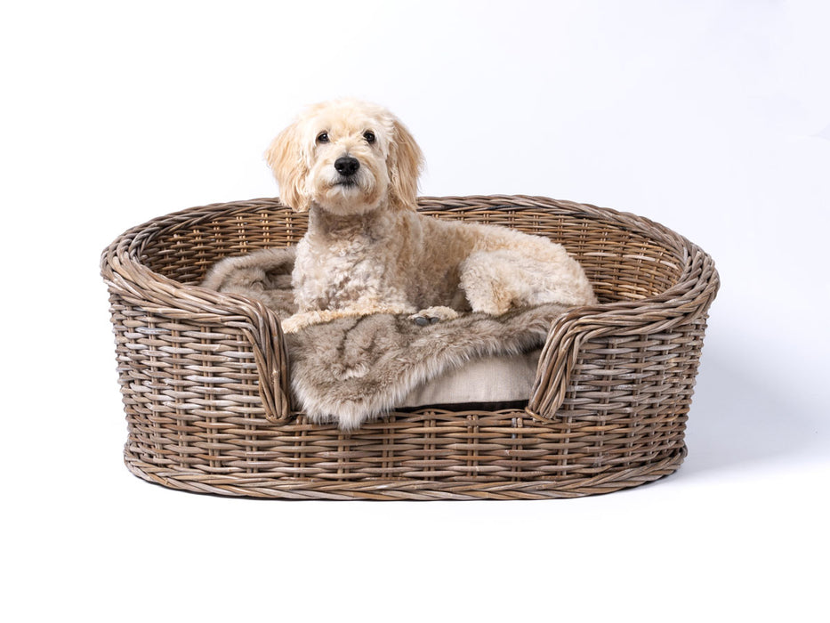 Raised Rattan Dog Lounger