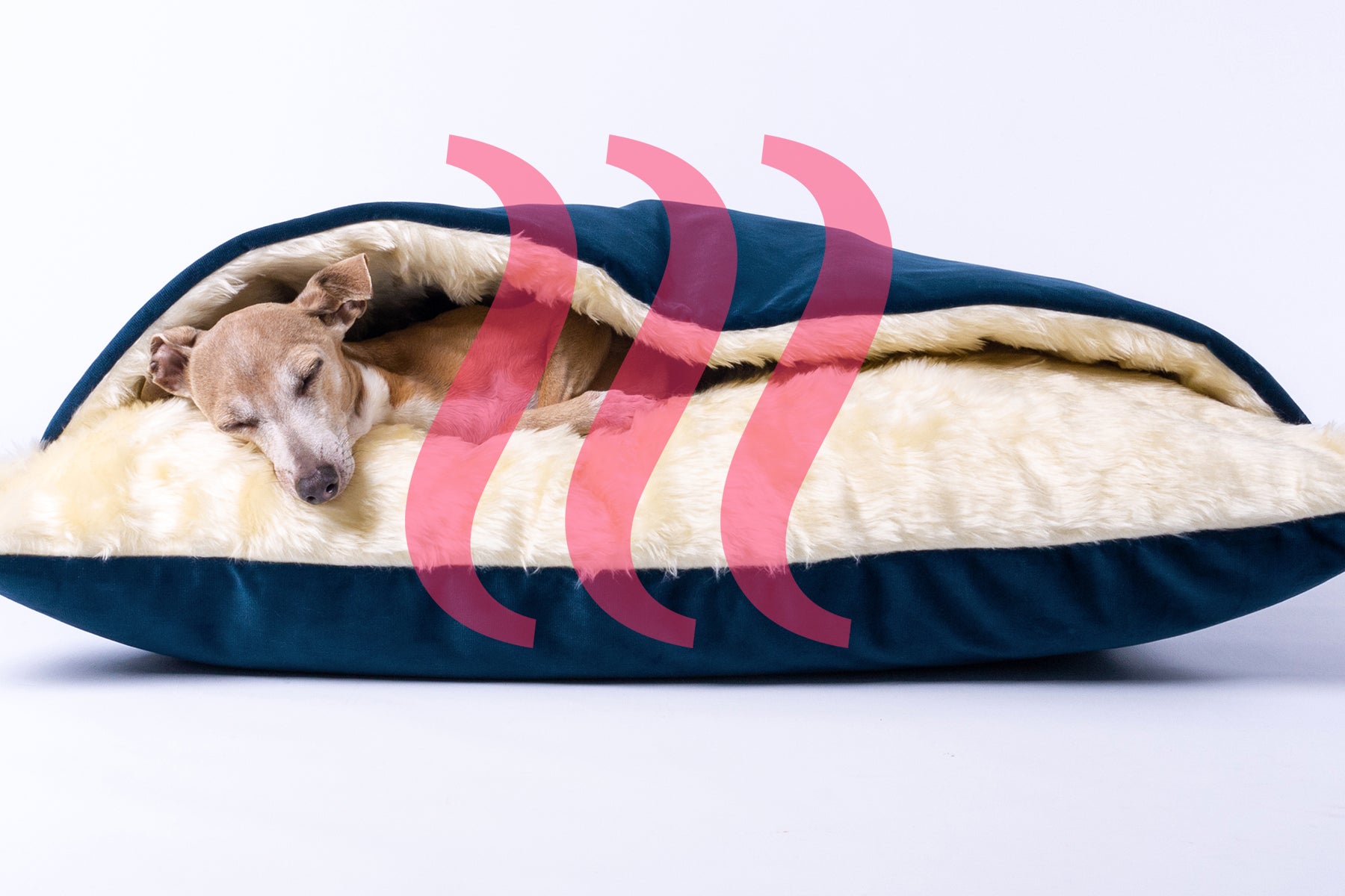 Winter Warm Snuggle Bed for Dogs