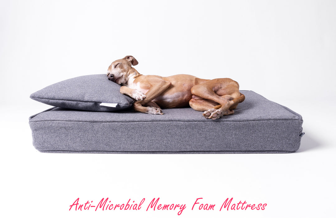 Just launched - Anti-microbial Memory Foam Dog Bed Mattress