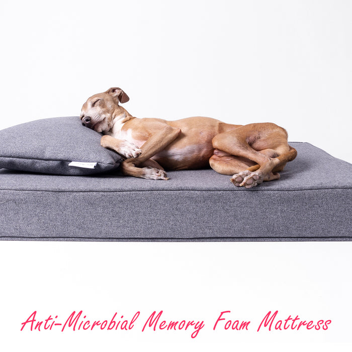 Just launched - Anti-microbial Memory Foam Dog Bed Mattress