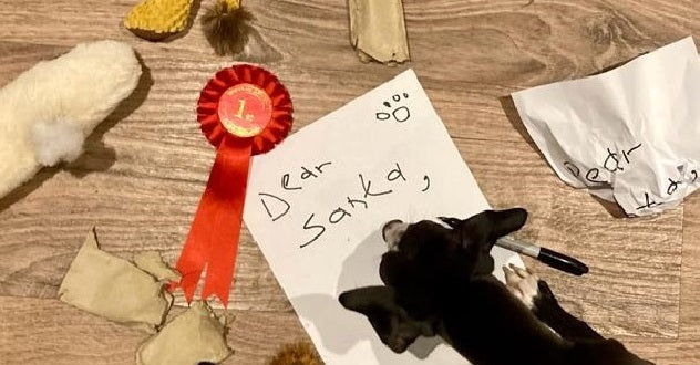 Dear SantaPaws .... the winners are....