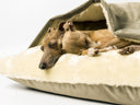 A chance to win free passes for Crufts 2017! - Charley Chau - luxury dog bedding