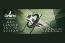 A guide to the world's greatest dog show - Crufts - Charley Chau - luxury dog bedding