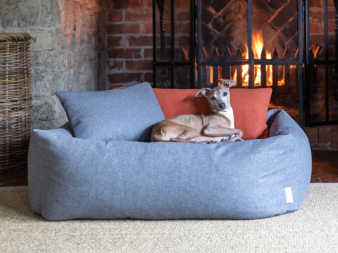 Fawn coloured Italian Greyhund d go lying in a grey luxury dog bed with two small cushions in the bed in grey and orange, in front of a fireplace on a natural hessian rug.