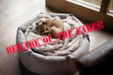 Beware of the fakes - only Charley Chau makes a genuine Charley Chau - Charley Chau - luxury dog bedding