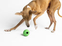 Boredom Busters - keeping our dogs entertained - Charley Chau - luxury dog bedding