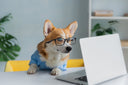 Canine emotional well-being: Does your dog need a job? Does your dog want a job? Two very different questions! - Charley Chau - luxury dog bedding