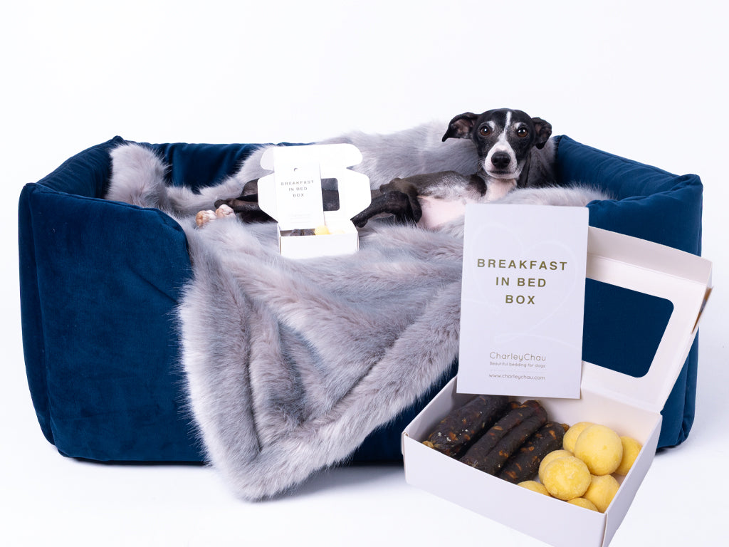 Celebrating 15 years of Charley Chau with breakfast in bed - a free gift for our customers this month!