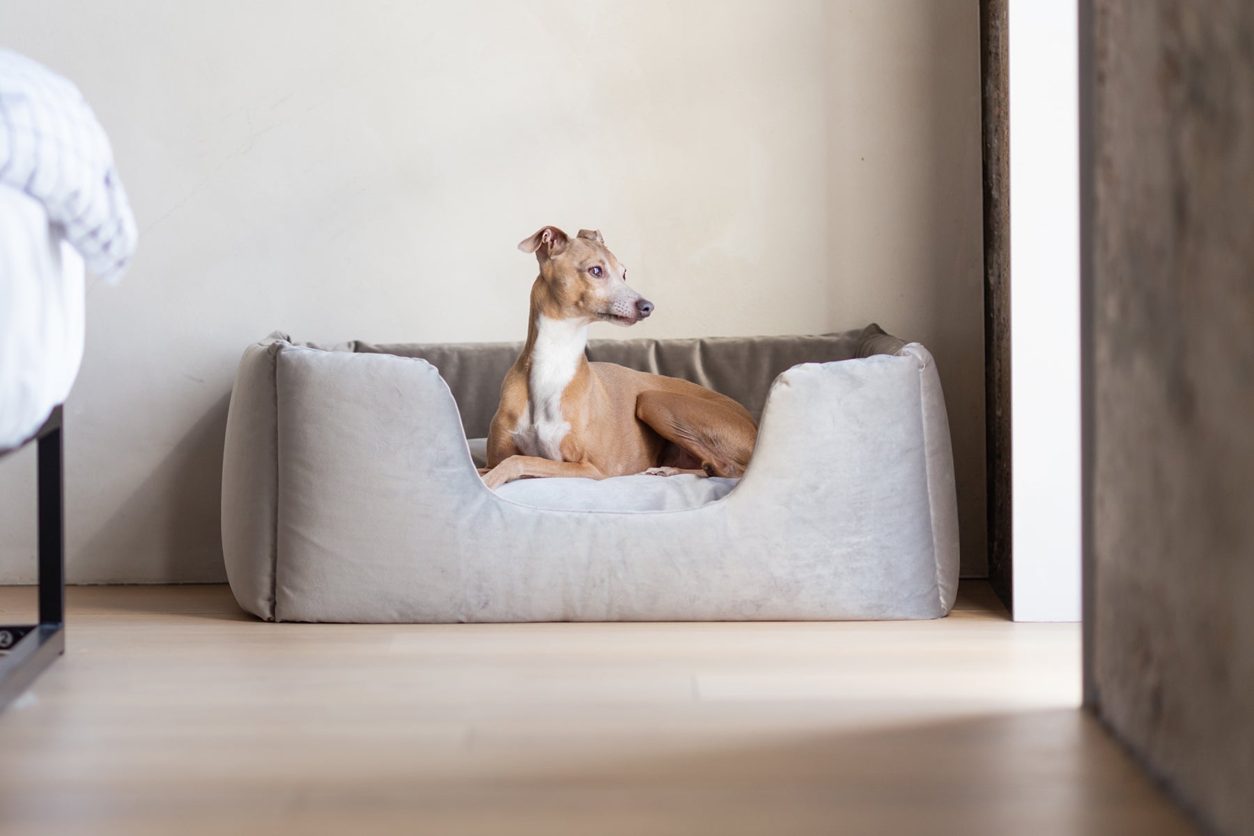 Design that stands the test of time: celebrating 10 years of the Deeply Dishy Dog Bed