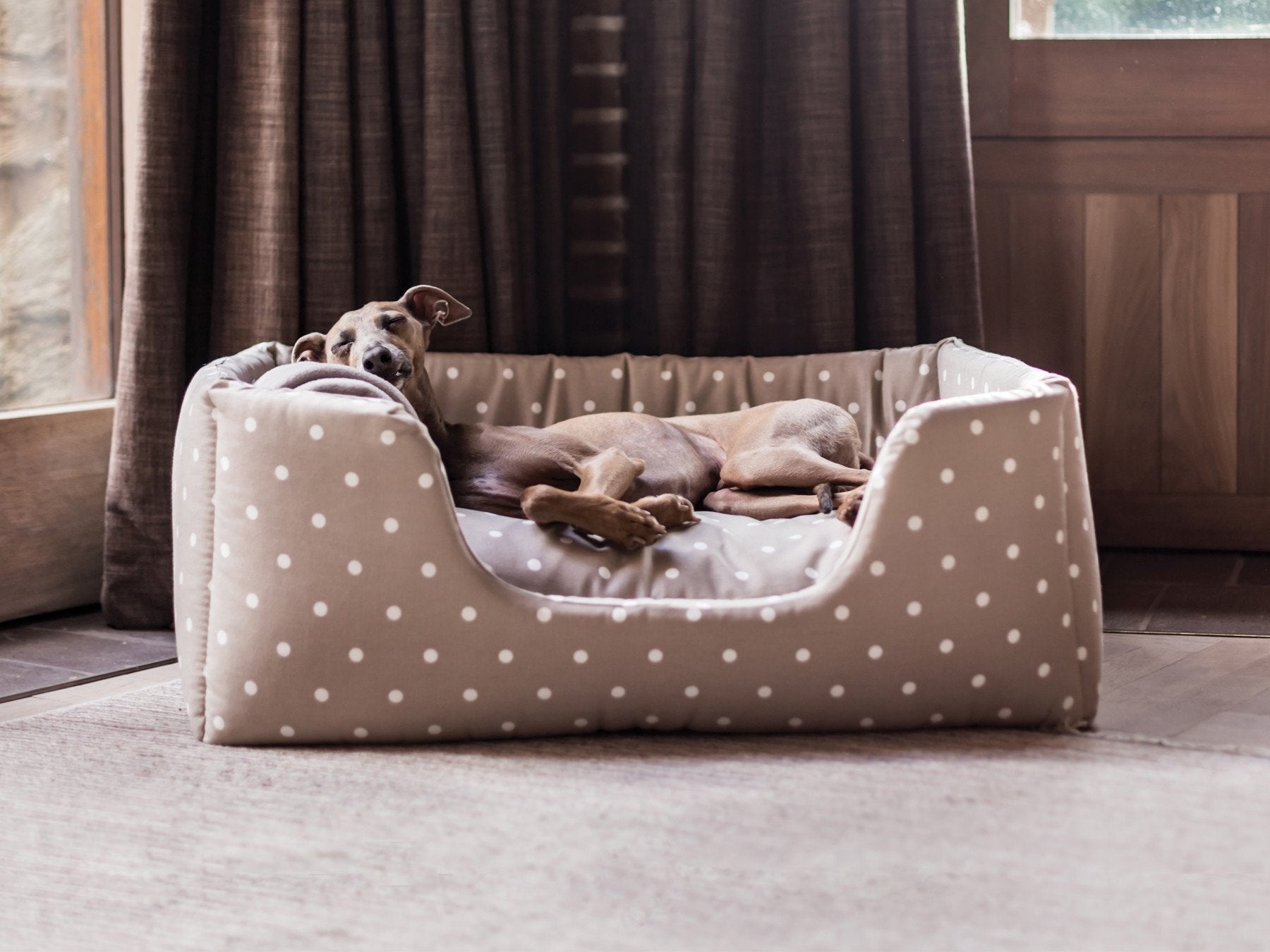 Cool and chic – keep your dog comfy this summer!