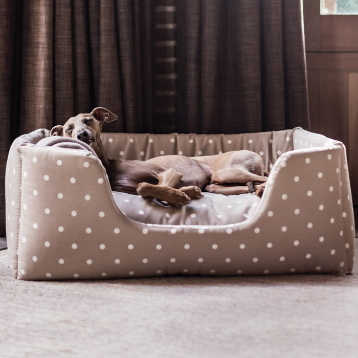 Cool and chic – keep your dog comfy this summer!