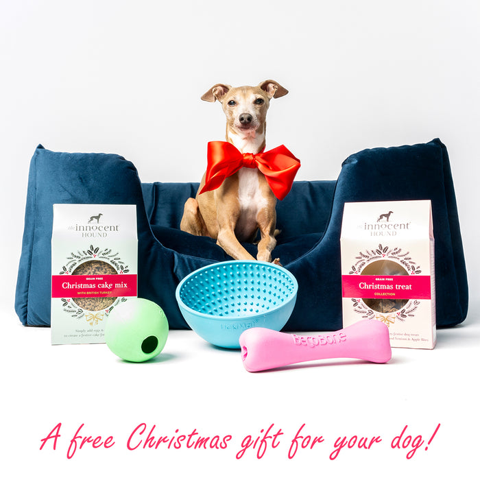 Free Christmas gift with every order for a Charley Chau Dog Bed or Blanket