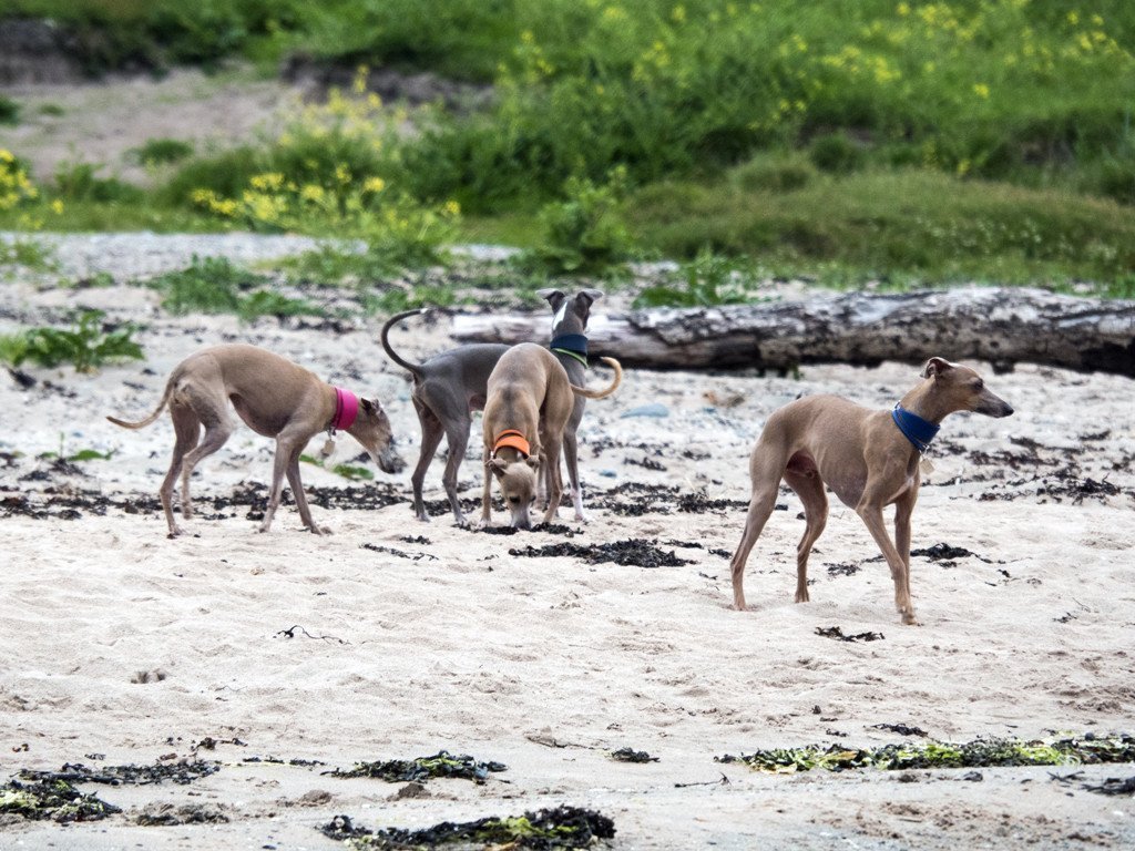 A mini-adventure to the Isle of Bute