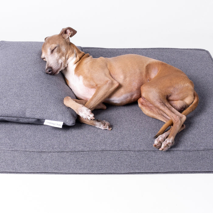 Win a luxe Anti-Microbial Memory Foam Mattress for your dog worth up to £390