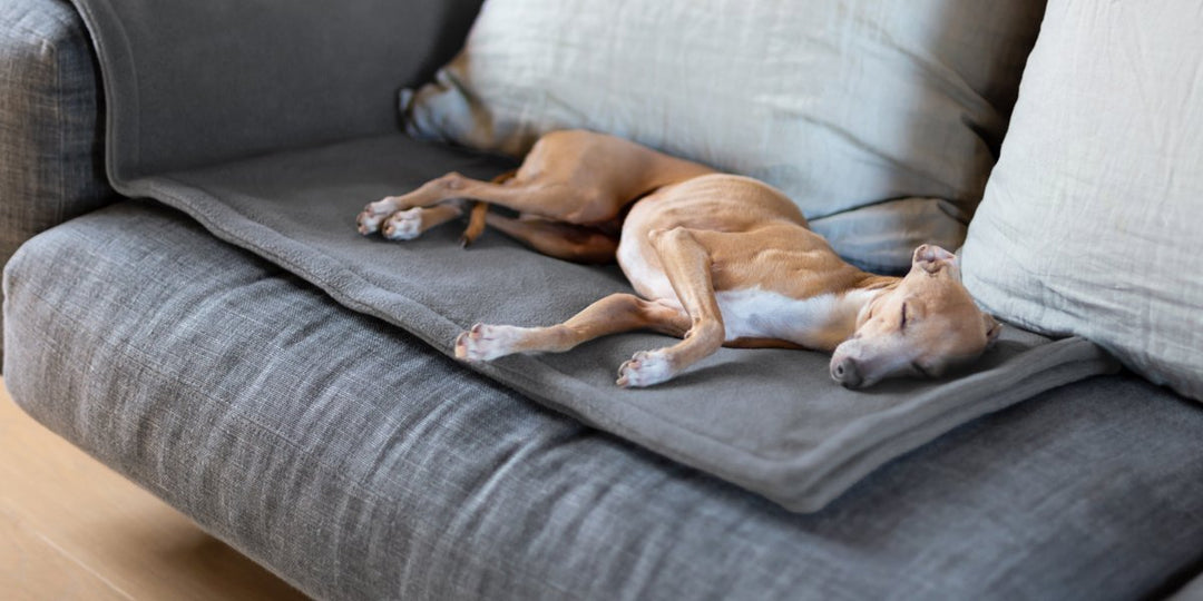 New for 2019! A gorgeous new grey for our Double Fleece Blanket collection