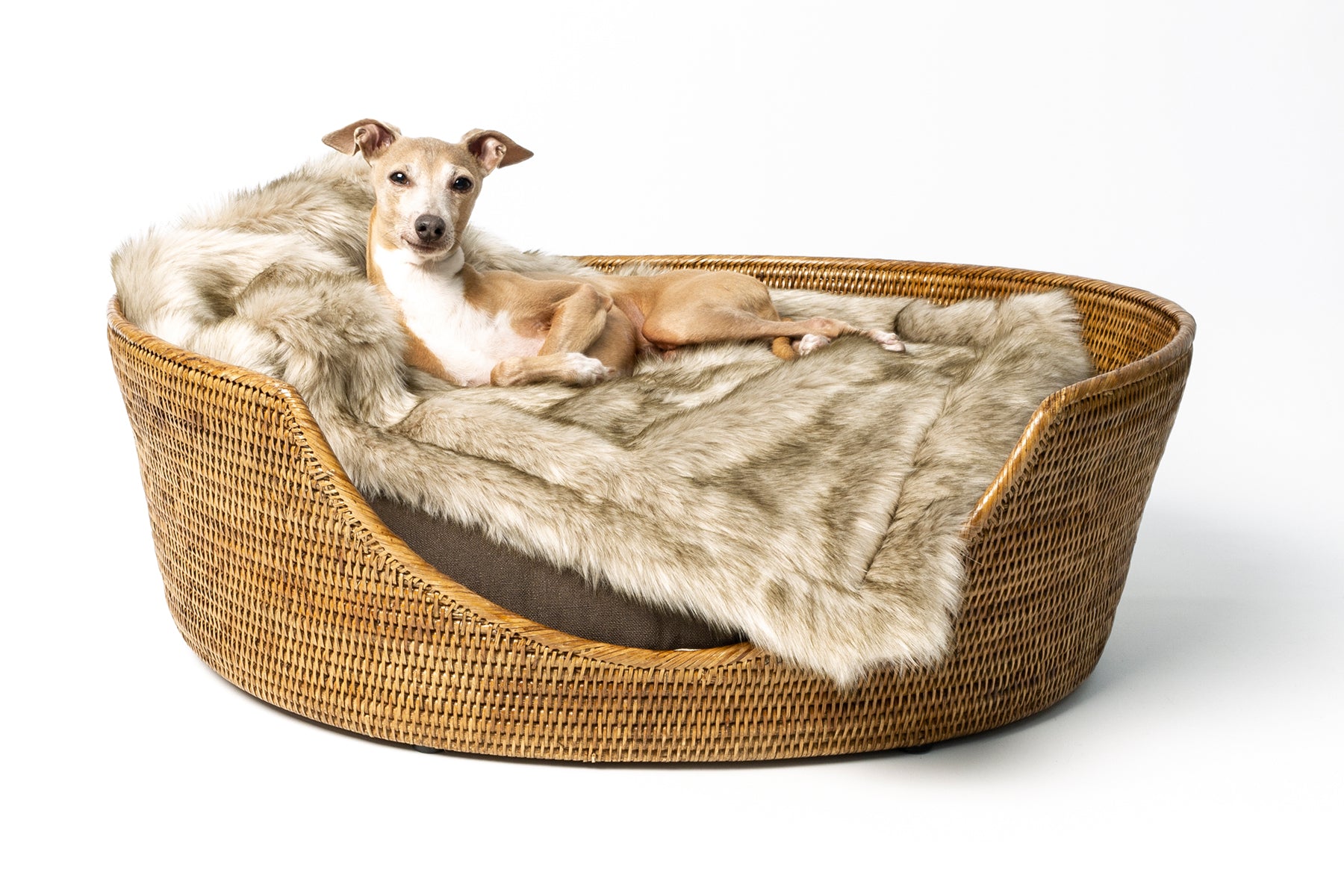 New additions to our Rattan Dog Basket Collection
