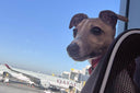 Ray's story - all the way from CA, USA