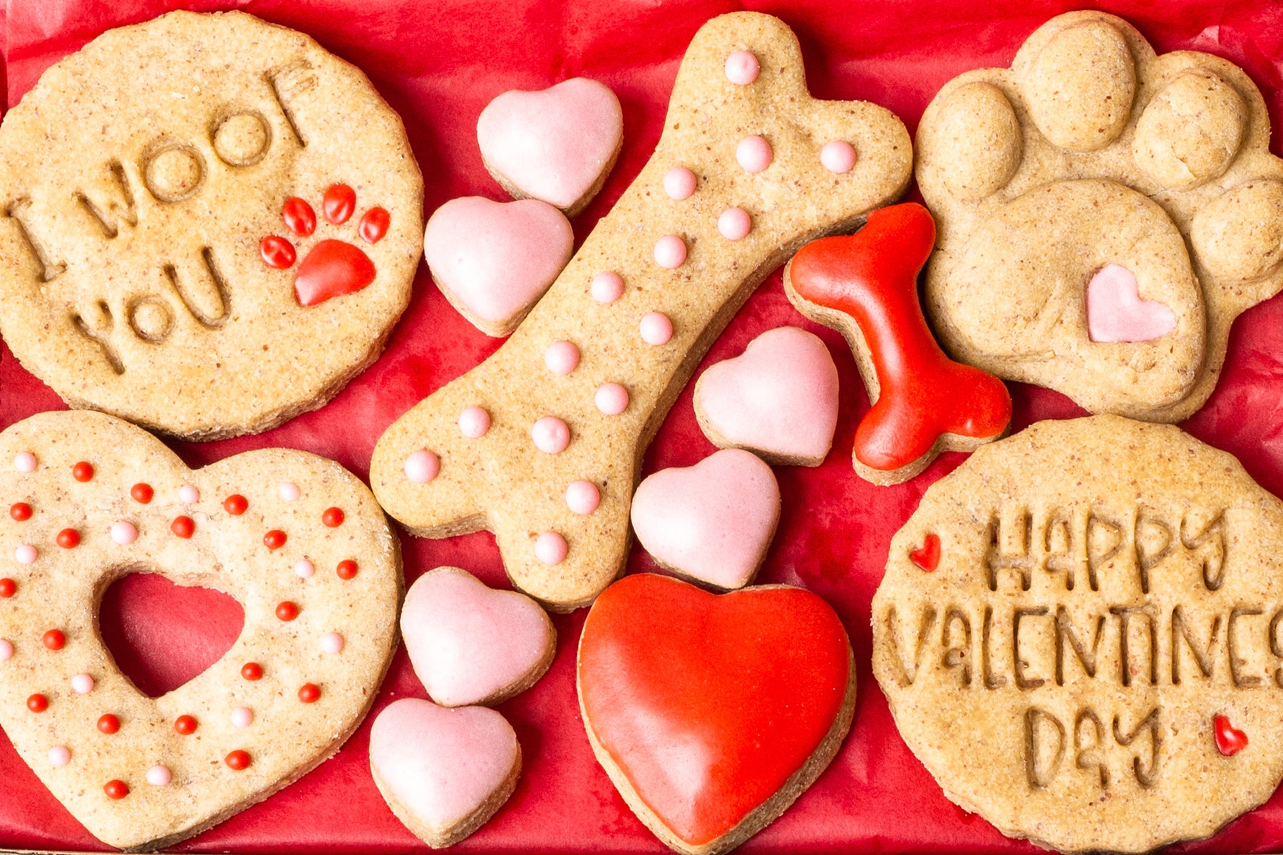 A free Valentine's gift for your dog this February - our "I Woof You" Biscuit Box