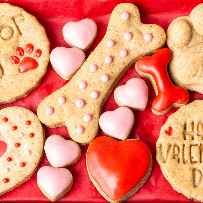 A free Valentine's gift for your dog this February - our "I Woof You" Biscuit Box