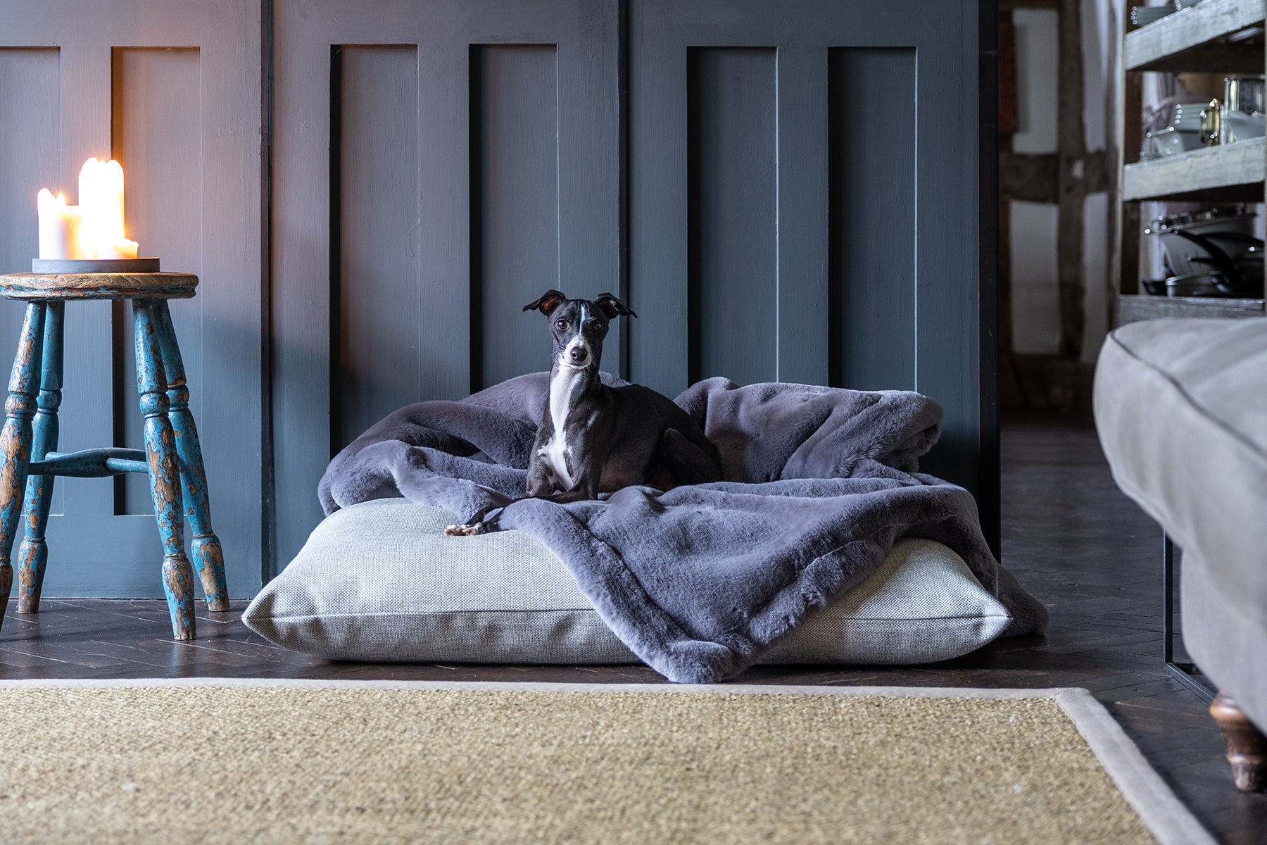 Charley Chau luxury dog bed and faux-fur blanket