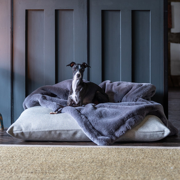 Charley Chau luxury dog bed and faux-fur blanket