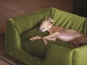 Clean Dogs Are Happy Dogs - Charley Chau - luxury dog bedding