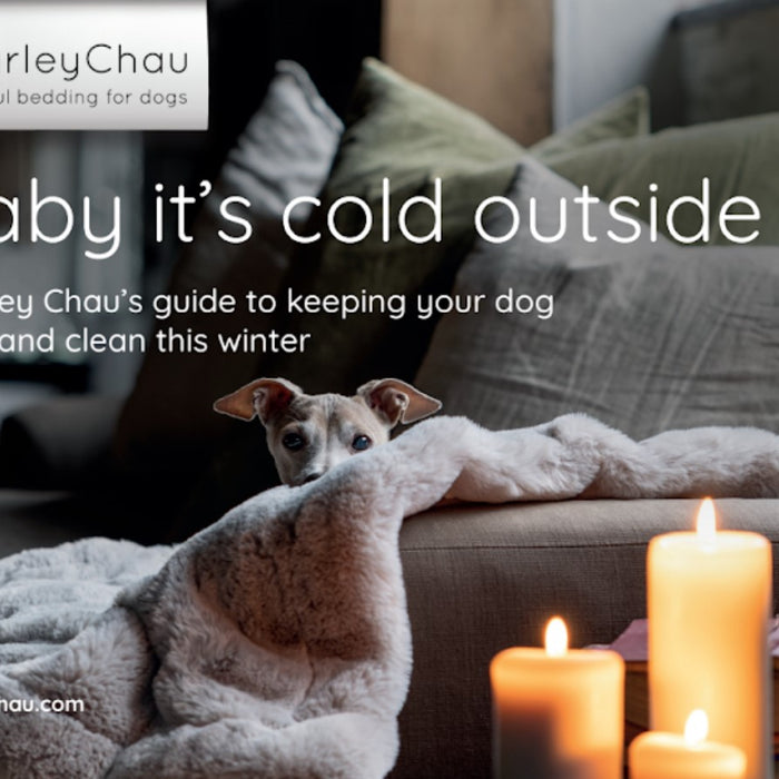 Charley Chau's Cosy & Clean Guide